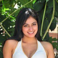 Haripriya New Photo Shoot - Pictures | Picture 115617